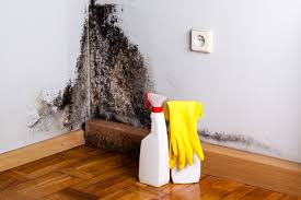 Best Biohazard Mold Removal  in Highland Village, TX